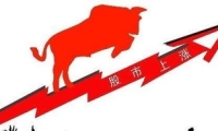 上市券商2024年主营业务大比拼